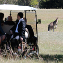 The Governor-General and Lady Cosgrove took The King and Queen on a short kangaroo safari in the grounds surrounding Government House. Photo: David Gray, Reuters / NTB scanpix